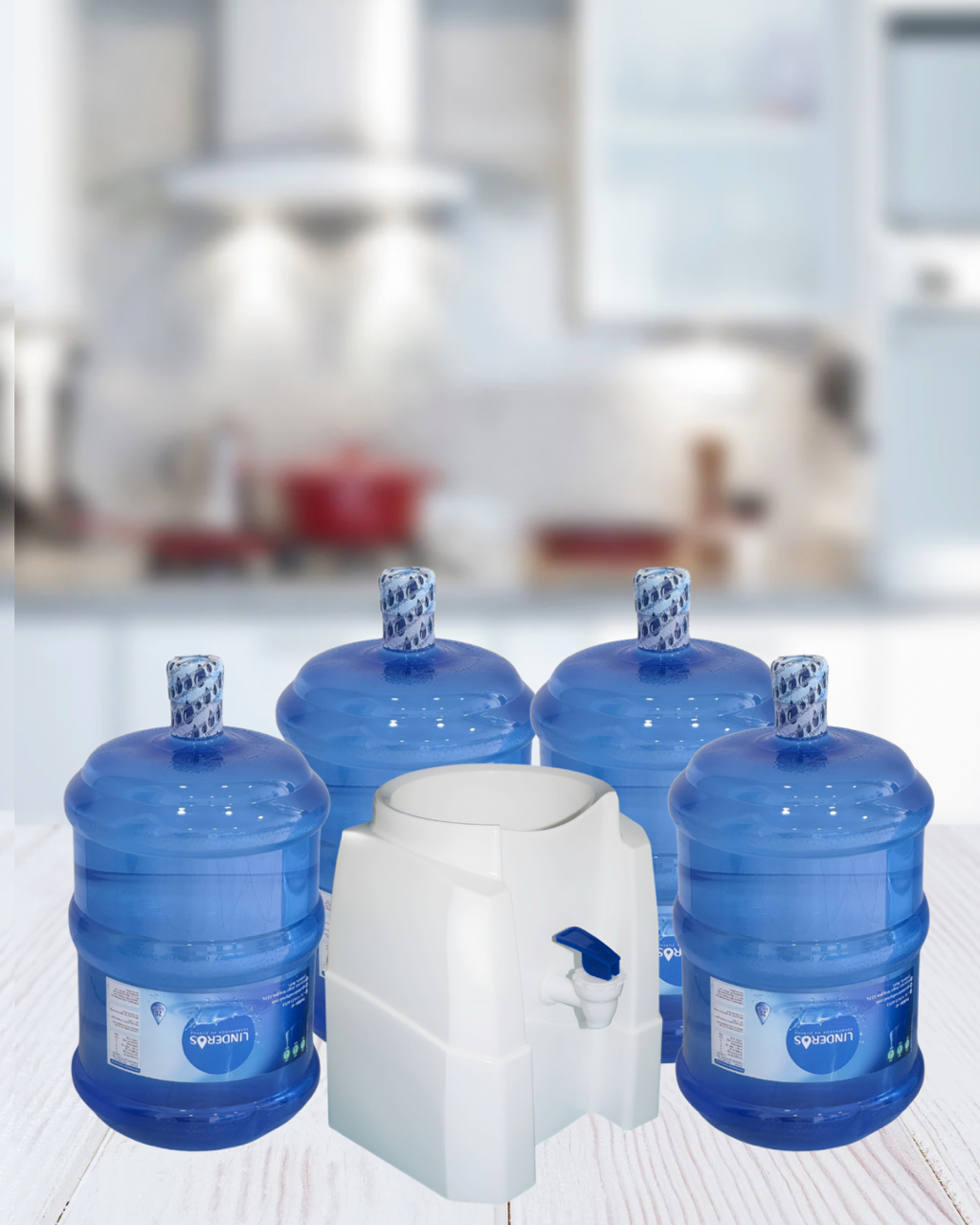 Pack Inicial Básico 4 bidones